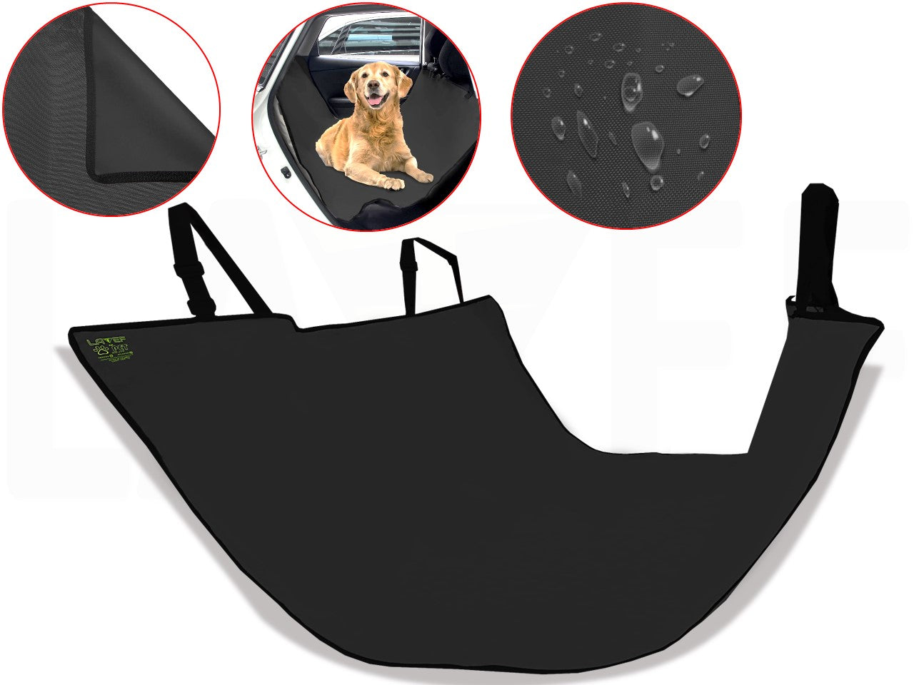 Auto Protector