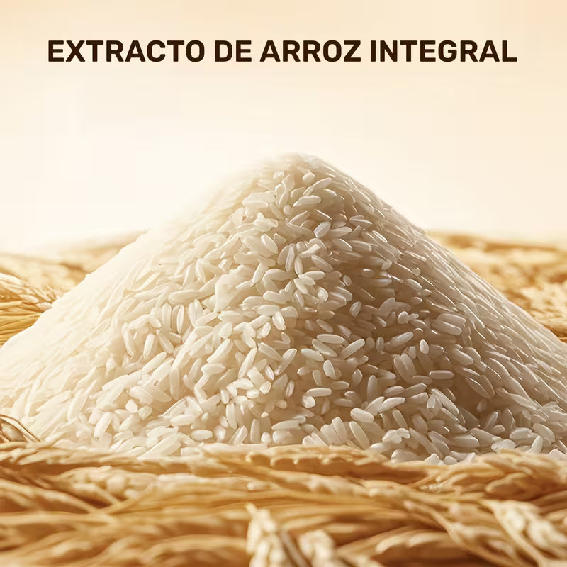 Kit de Arroz - BQ