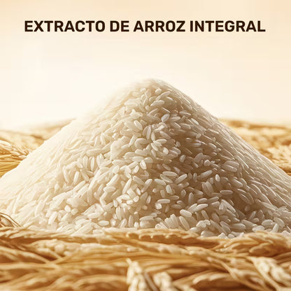 Kit de Arroz - BQ